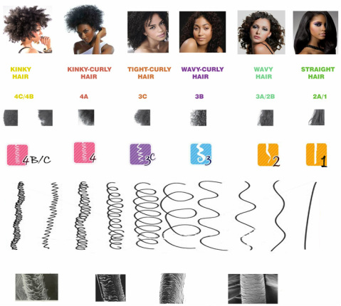Hair typing chart